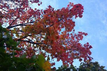 ユースホステル Hvilan V Hem Norrtälje Ab