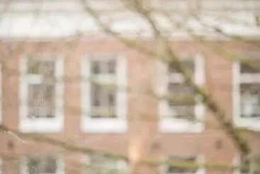 Ollies Bed And Breakfast