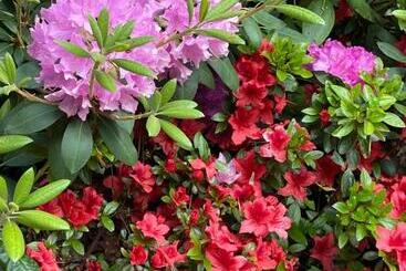 레지던스 Villa Rozenhof