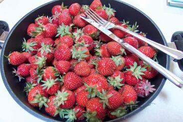 End Of The Road B & B