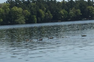 Rainbow S End Resort