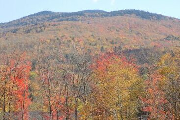Wilderness Inn Bed And Breakfast