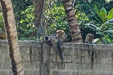 Pensió Art House Hiriketiya