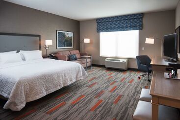 Hotel Hampton Inn & Suites At Wisconsin Dells Lake Delton