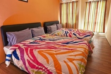 Harbourside Backpackers  Hostel