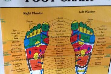 Estuary House Reflexology B&b