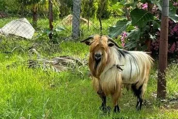 Meenakshi Lakehouse Of M