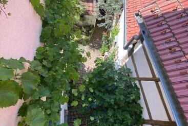 Bed and Breakfast Neles Nest