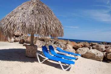 هتل Ocean Resort Apartment Pelican