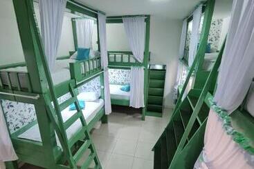 Amazon Check In Hostel Manaus Amazonas