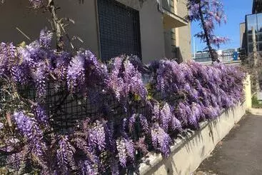 B&b Il Glicine Pescara Centro