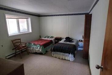 Polar Bear Bed And Breakfast