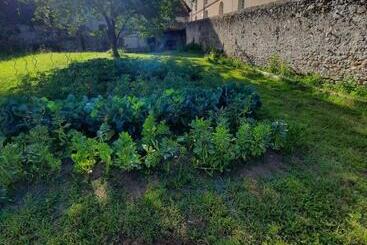 Pensió Le Presbytère Des Renards