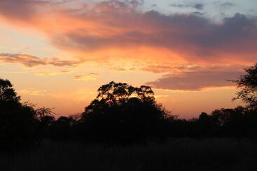 فندق Foreva Wild