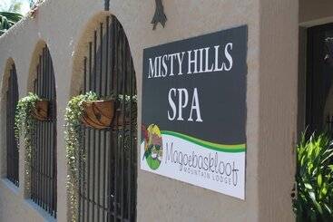هتل Magoebaskloof Mountain Lodge