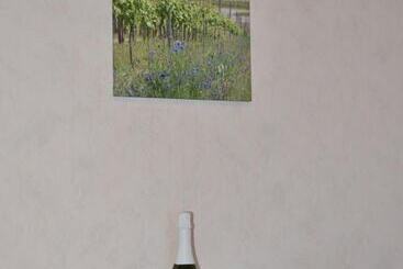 مبيت وإفطار Weingut H. Gindorf