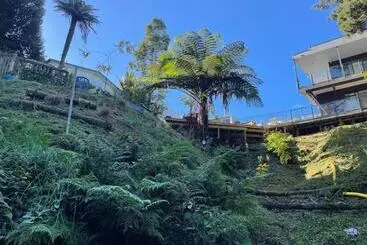 ペンション Gully Retreat