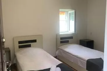 Hotel Lemi