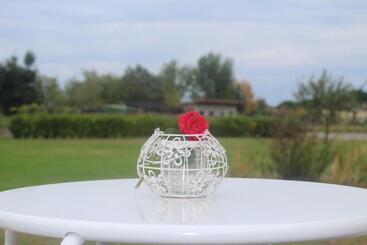 Bed and Breakfast Marelaguna Rooms