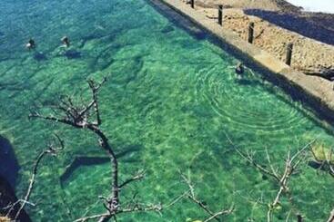 ユースホステル Coogee Beach House