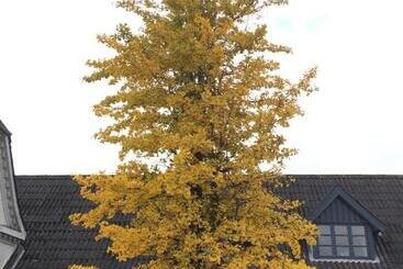 Bed and Breakfast Herligheden