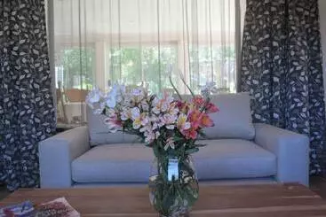 Hotel The Pecan Tree Guesthouse