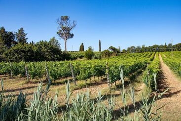 ホテル Villa Albergotti