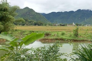 Zostay Homestay   Adults Only   Hostel