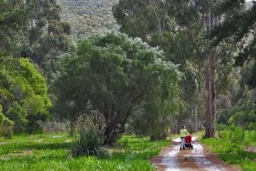 فندق Cape Howe Cottages