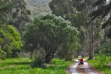 Hotel Cape Howe Cottages