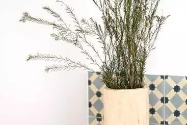 Bed & Breakfast Agroturismo Ses Talaies