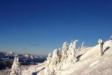 Pensão Wohnen By Lizzy