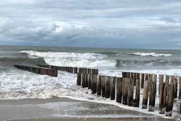 Pension De Zeeschelp