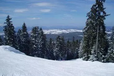 Apartments Flora Daisy