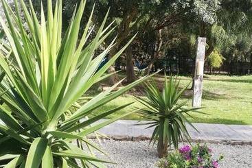 بنسيون Nexo Surf House