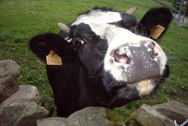 펜션 Posada La Vieja Escuela