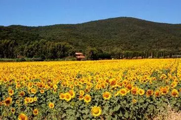 Hotelli Agriturismo Valborgina