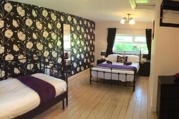 호스텔 The Golden Lion