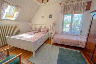 Pensionat Molnár Vendégház