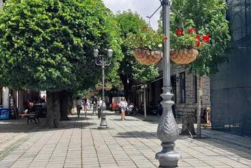 پانسیون Sibirska Central