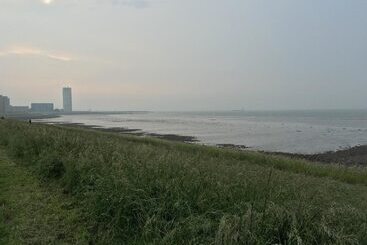 Cafe Pension The Chandelier