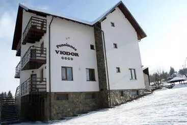 Pensiunea Viodor