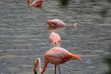 ペンション Hostal Muro De Las Lagrimas With High Speed Internet Starlink