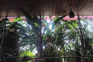 تختخواب و صبحانه Limrock