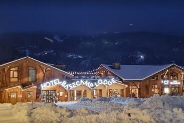 Отель Base Camp Lodge   Bourg Saint Maurice