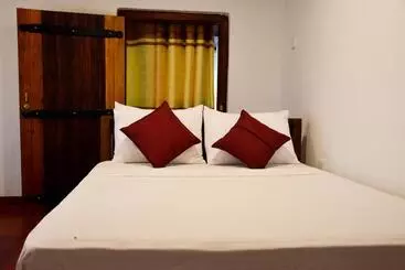 Albergue Rainforest Holiday Inn