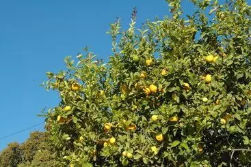 Bed and Breakfast Jingtu Wellness & Spa Resort