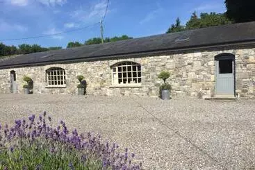 Bed and Breakfast Clonalis House   Guesthouse
