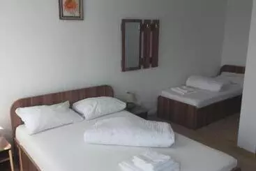 Pensiunea Bujor De Munte