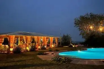Resort Reggies S Camel Camp,osian